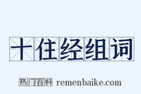 十住经组词是什么意思的图片